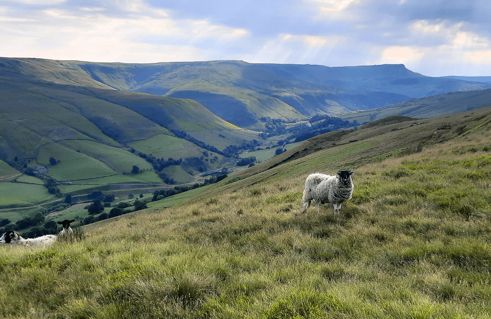 View of Kinder North Edge, Peak District