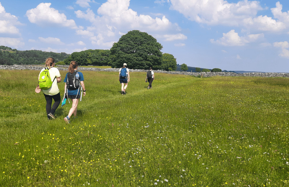 Meadows around Eyam, Peak District