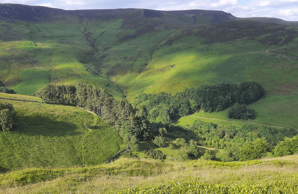 View of Kinder South Edge and Ringing Roger Peak District