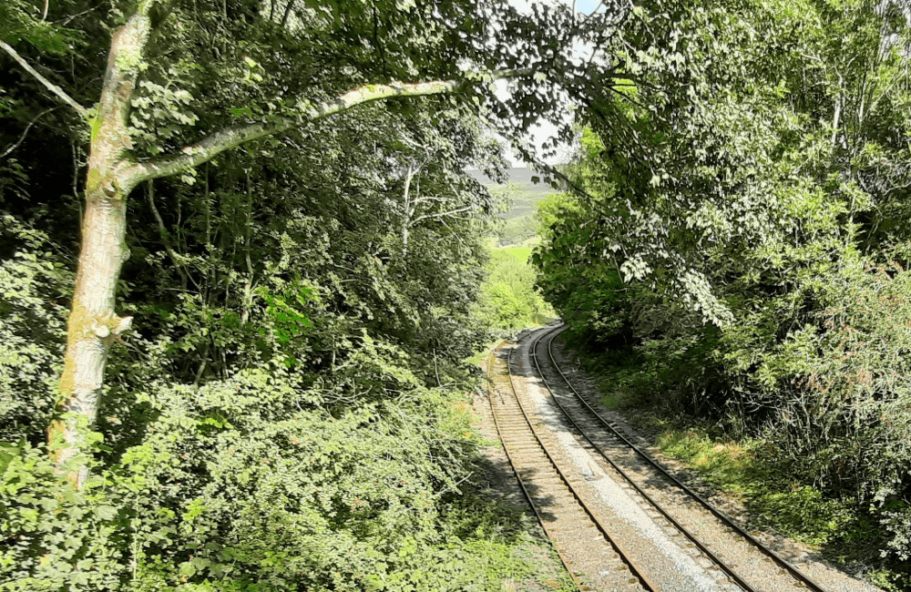 Rail to Trail: A Guide For Peak District Train Hikers.. Hope Valley Train Line Peak District