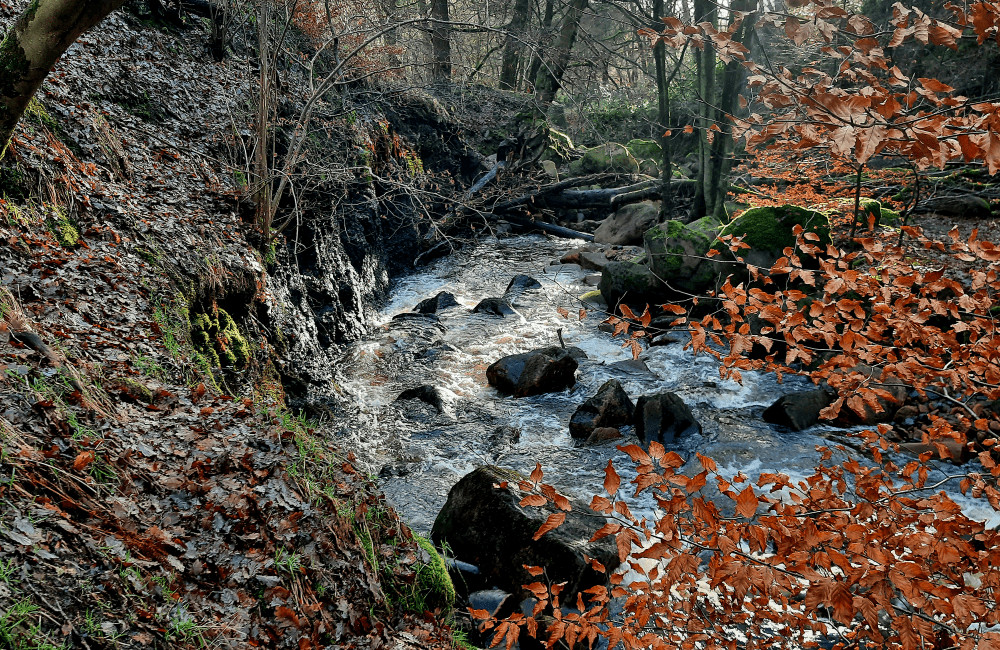 Padley Gorge Peak District
