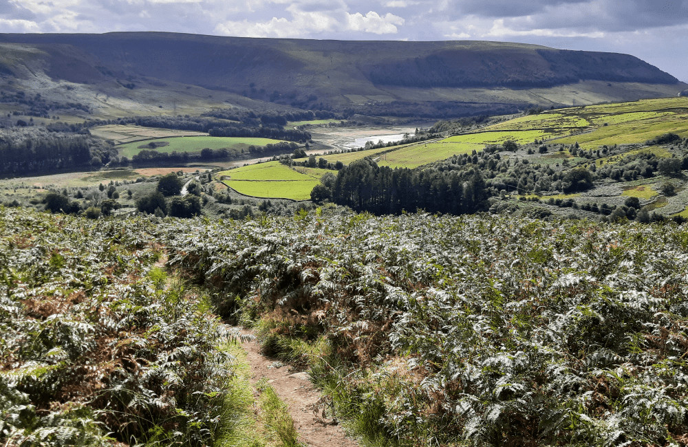 Crowden and Bleaklow Black Hill Peak District