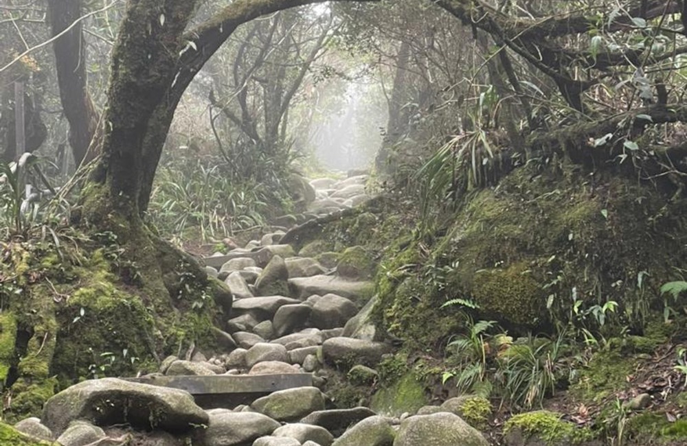 Mount Kinabalu Pui Ying - Trek Training Success Story (7)
