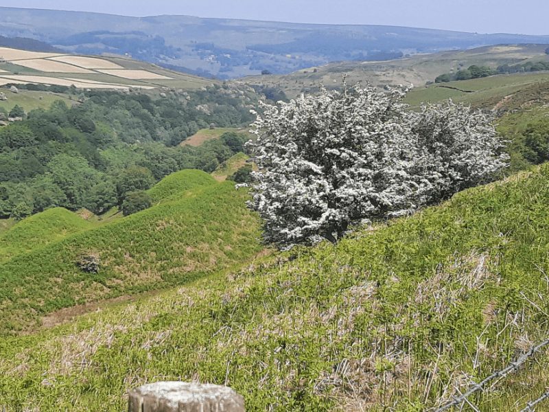 Abney Clough Peak District