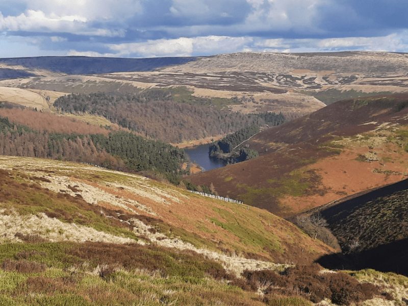 Alport Moor and Derwent Reservoir Peak District (2)