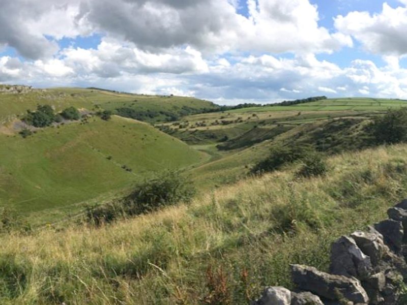Cressbrook-1000px